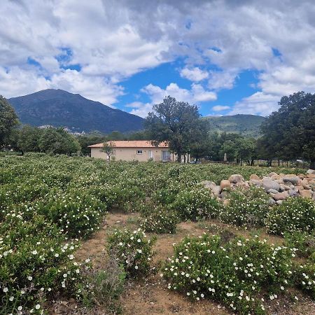 Domaine U Filanciu - Casa Chiara - Centru Di Corsica Villa Moltifao Luaran gambar