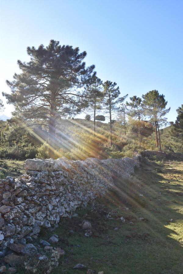 Domaine U Filanciu - Casa Chiara - Centru Di Corsica Villa Moltifao Luaran gambar